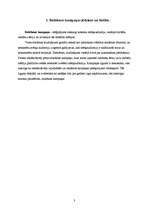 Referāts 'Reklāmas kampaņas veidošana uzņēmumā', 3.