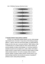 Referāts 'Reklāmas kampaņas veidošana uzņēmumā', 6.