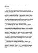 Referāts 'Reklāmas kampaņas veidošana uzņēmumā', 10.