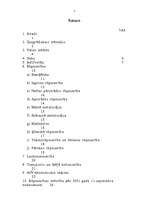 Referāts 'Amerikas Savienotās Valstis', 1.