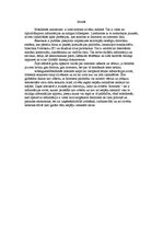 Referāts 'Internets', 2.