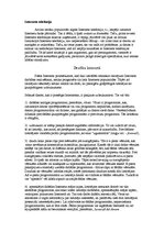 Referāts 'Internets', 9.