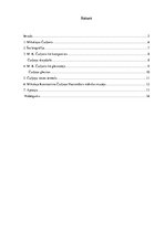 Referāts 'Komponists Mikalojs Čurļonis', 4.