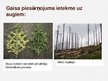 Prezentācija 'Gaisa piesārņojums', 8.
