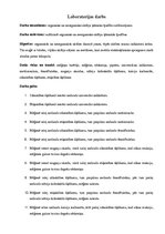 Paraugs 'Skābes', 1.