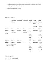 Paraugs 'Skābes', 2.