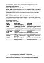 Konspekts 'Audits', 2.