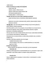 Konspekts 'Audits', 8.