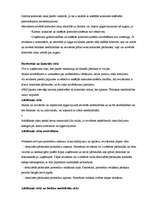 Konspekts 'Audits', 9.