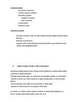 Konspekts 'Audits', 13.