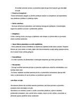 Konspekts 'Audits', 16.