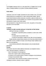 Konspekts 'Audits', 17.