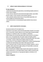 Konspekts 'Audits', 28.