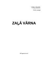 Konspekts 'Zaļā vārna', 1.