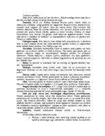 Konspekts 'Zaļā vārna', 2.