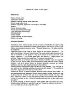 Konspekts 'Kalderons de la Barks "Dzīve - sapnis". Satura atstāsts', 1.