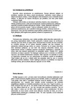 Referāts 'Mārketinga pētījumu rezultātu ziņojuma sagatavošana un prezentēšana', 16.