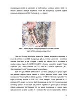 Referāts 'LR Nacionālo bruņoto spēku formas tērpa auduma dizainparauga izstrādes process', 15.