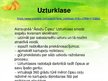 Prezentācija 'Uzņēmums "Ādažu čipsi"', 11.