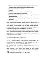 Diplomdarbs 'Pašvaldību velēšanas Latvijā 2001.gadā. Cēsu pilsētas domes piemērs', 19.