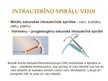 Prezentācija 'Intrauterīnā spirāle', 4.