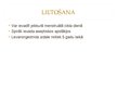 Prezentācija 'Intrauterīnā spirāle', 12.