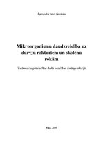 Konspekts 'Mikroorganismu daudzveidība', 1.