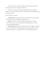 Prezentācija 'Džezs', 11.