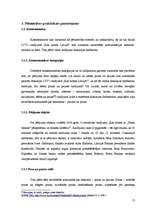 Referāts 'Pozas un pauzes LTV1 2008.gada 12.novembra raidījumā "Kas notiek Latvijā?"', 13.