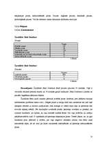 Referāts 'Pozas un pauzes LTV1 2008.gada 12.novembra raidījumā "Kas notiek Latvijā?"', 14.