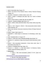 Referāts 'Pozas un pauzes LTV1 2008.gada 12.novembra raidījumā "Kas notiek Latvijā?"', 24.