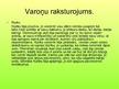 Prezentācija 'Noras Ikstenas darba "Rūriks" interpretācija', 14.
