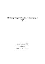 Paraugs 'Biznesa ideja', 1.