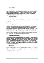 Paraugs 'Biznesa ideja', 3.