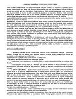 Konspekts 'Runas psiholoģija', 3.