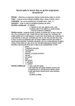 Konspekts 'Sporta spēle ar tautas deju un sporta elementiem', 1.