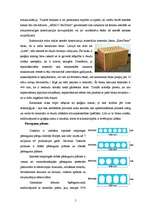 Referāts 'Mūra mājas', 5.