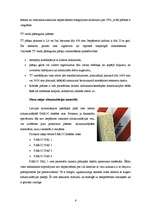 Referāts 'Mūra mājas', 6.