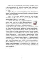 Referāts 'Mūra mājas', 7.