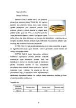 Referāts 'Mūra mājas', 8.