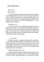 Referāts 'Mūra mājas', 10.