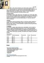 Referāts 'Mūra mājas', 16.