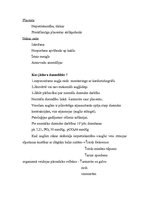 Konspekts 'Jaundzimušā asfiksija', 2.