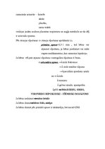 Konspekts 'Jaundzimušā asfiksija', 3.