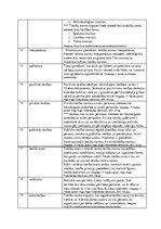 Konspekts 'Civiltiesību jēdzieni un to skaidrojumi', 2.