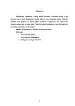 Referāts 'Dokumenta teksts', 3.