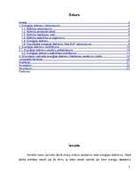 Referāts 'Stimulatorus saturošie enerģijas dzērieni', 2.