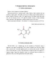 Referāts 'Stimulatorus saturošie enerģijas dzērieni', 4.