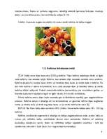 Referāts 'Stimulatorus saturošie enerģijas dzērieni', 6.