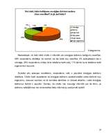 Referāts 'Stimulatorus saturošie enerģijas dzērieni', 19.